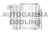 AUTOGAMMA 102573 Condenser, air conditioning